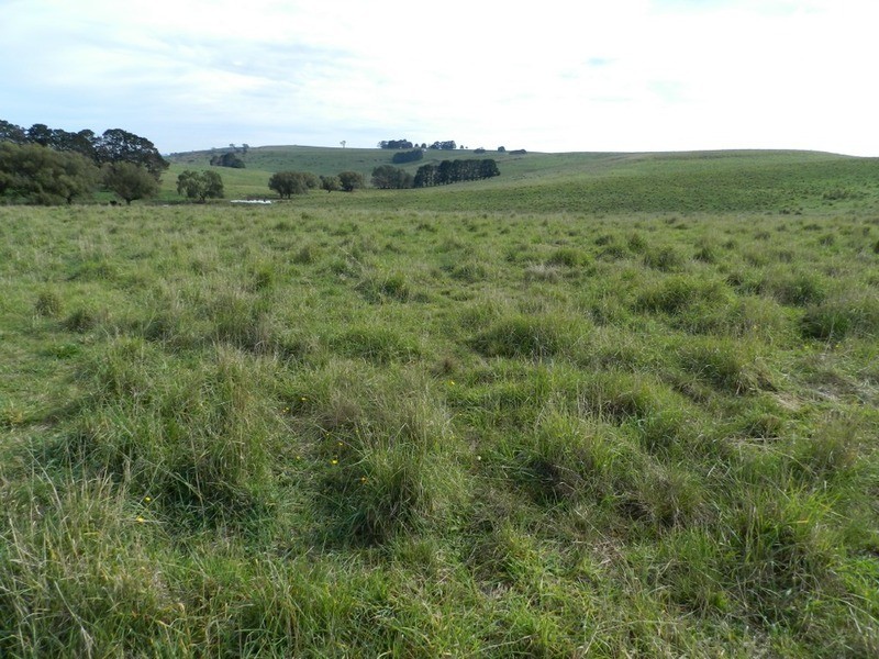 495 Leighwood  Road, Golspie NSW 2580