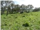 495 Leighwood  Road, Golspie NSW 2580