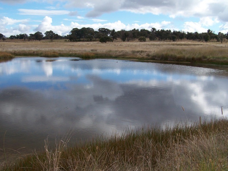 495 Leighwood  Road, Golspie NSW 2580