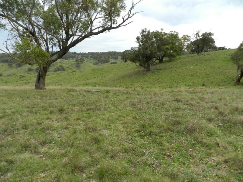 497 Leighwood  Road, Golspie NSW 2580