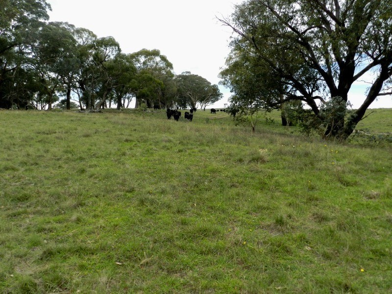 497 Leighwood  Road, Golspie NSW 2580