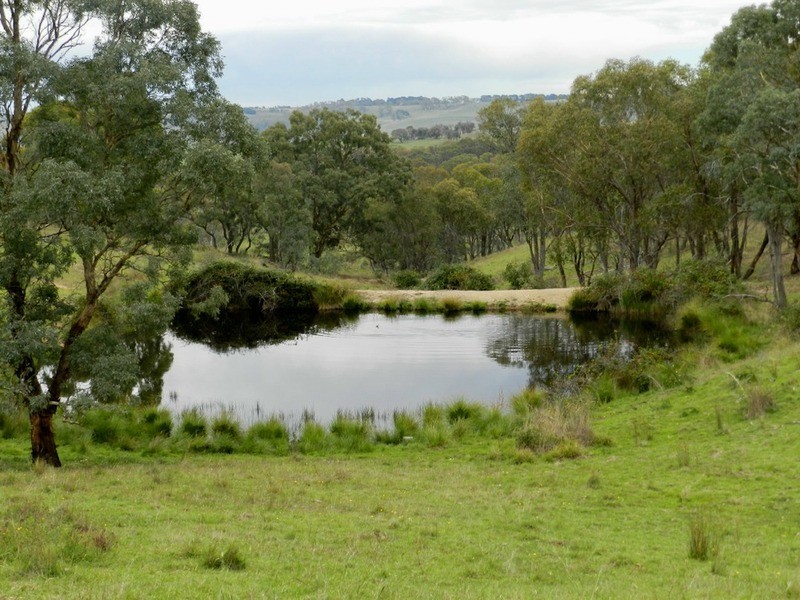 497 Leighwood  Road, Golspie NSW 2580