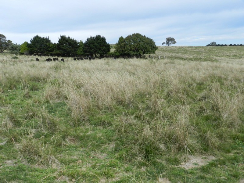 497 Leighwood  Road, Golspie NSW 2580