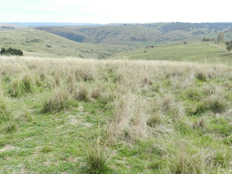 497 Leighwood  Road, Golspie NSW 2580