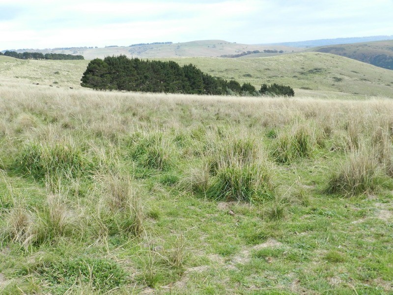 497 Leighwood  Road, Golspie NSW 2580