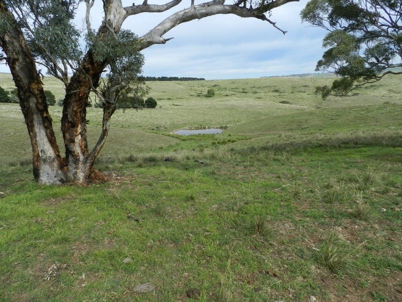 497 Leighwood  Road, Golspie NSW 2580