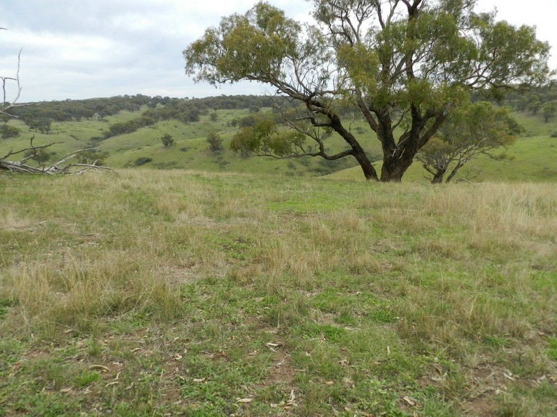 497 Leighwood  Road, Golspie NSW 2580