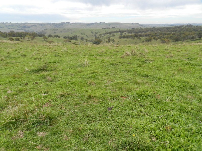 497 Leighwood  Road, Golspie NSW 2580