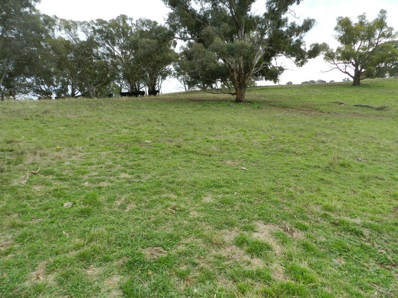 497 Leighwood  Road, Golspie NSW 2580