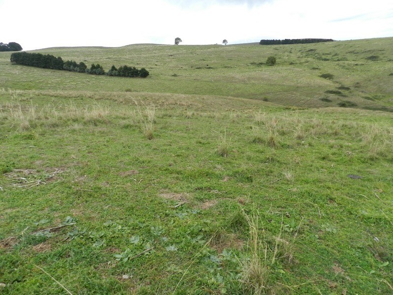 497 Leighwood  Road, Golspie NSW 2580