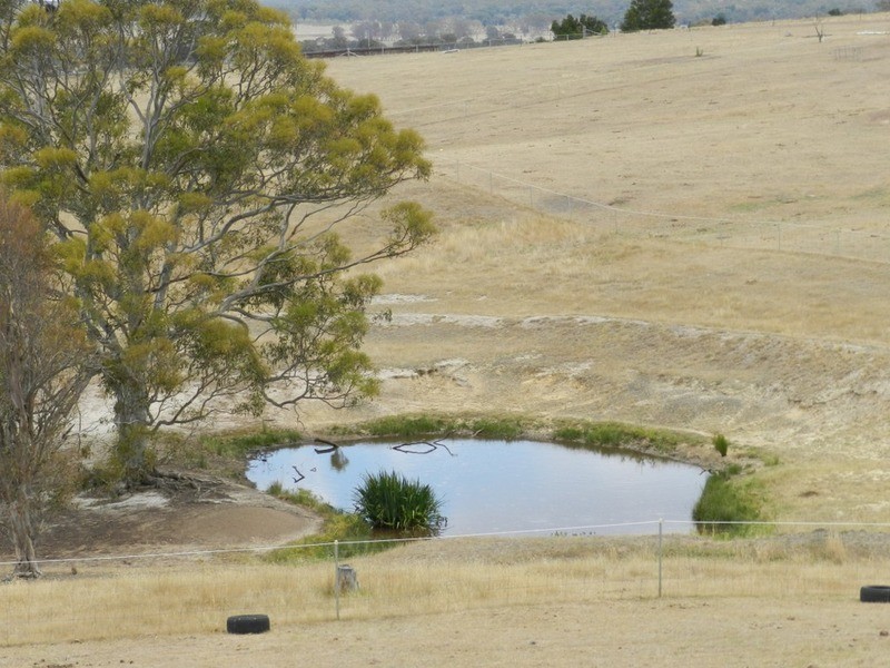 34 Apps Lane, Towrang NSW 2580