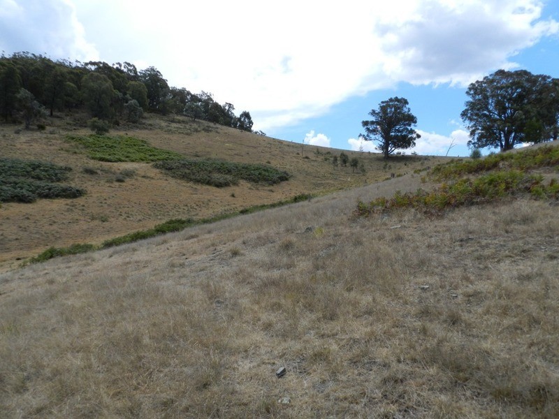 34 Apps Lane, Towrang NSW 2580