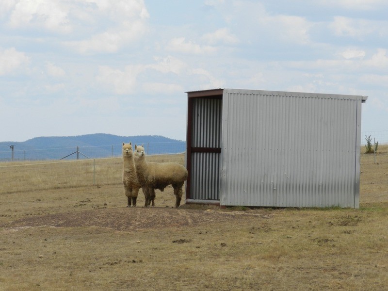 34 Apps Lane, Towrang NSW 2580