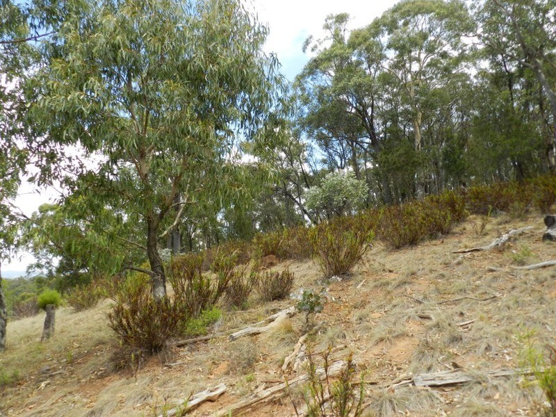 34 Apps Lane, Towrang NSW 2580