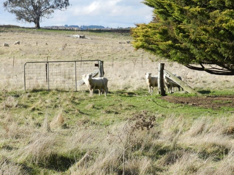 3738 Goulburn Road, Crookwell NSW 2583