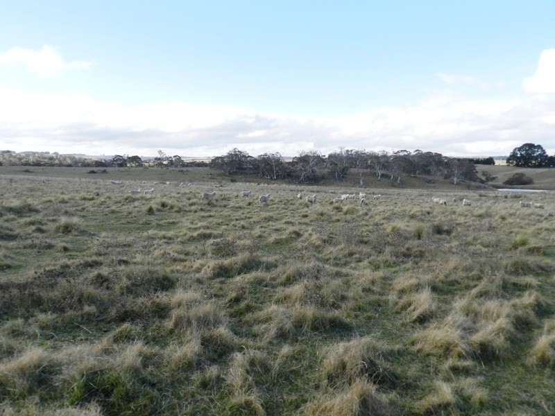 3738 Goulburn Road, Crookwell NSW 2583