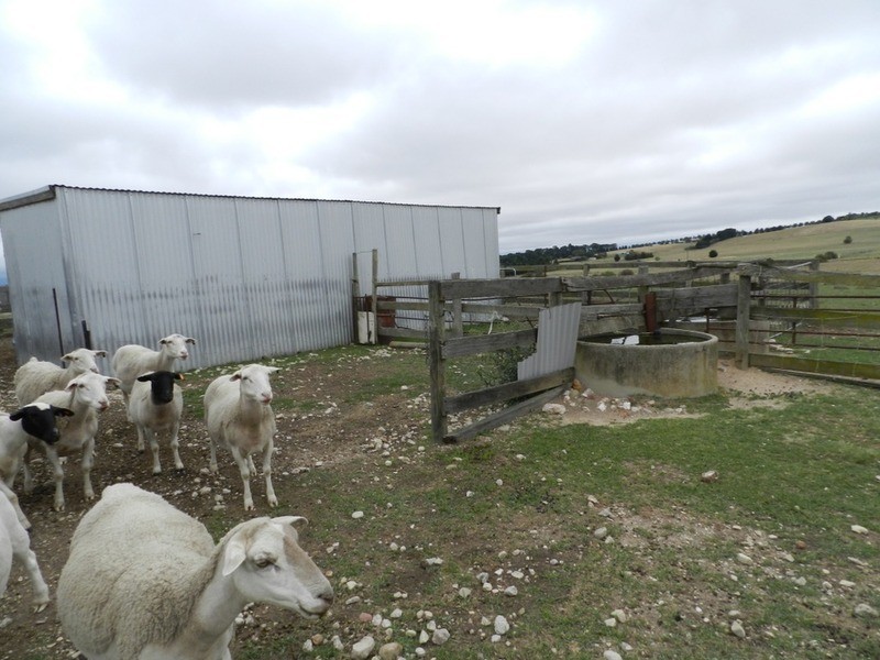 111 Brisbane Grove Road, Goulburn NSW 2580