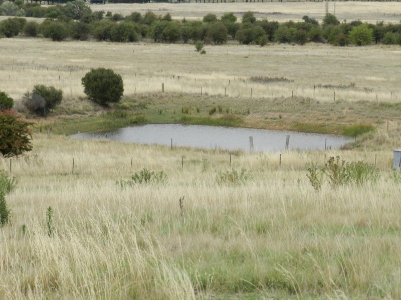 111 Brisbane Grove Road, Goulburn NSW 2580