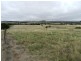 111 Brisbane Grove Road, Goulburn NSW 2580