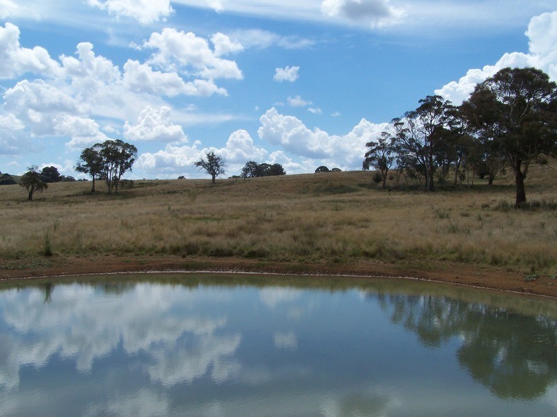 509 Redground Heights  Road, Laggan NSW 2583