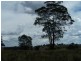 509 Redground Heights  Road, Laggan NSW 2583