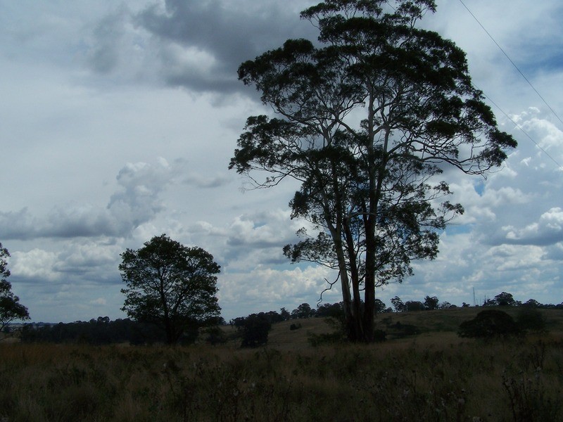 509 Redground Heights  Road, Laggan NSW 2583