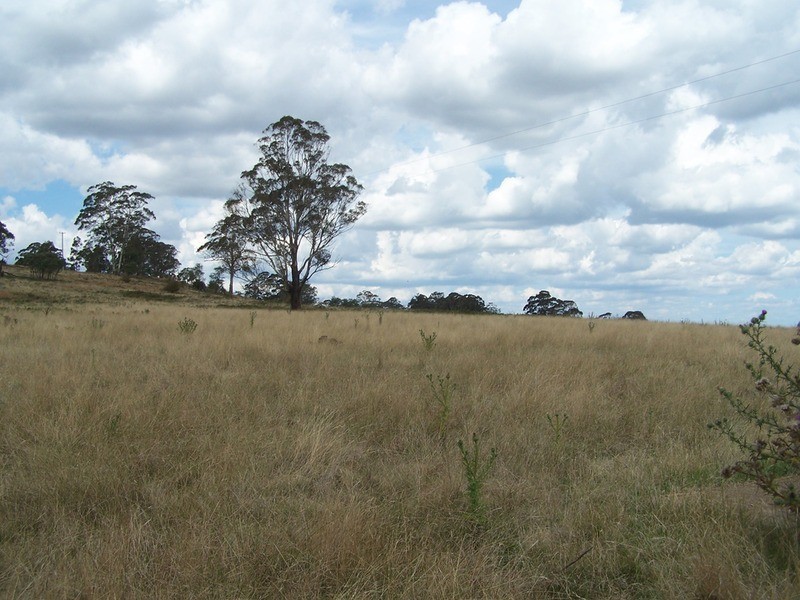 509 Redground Heights  Road, Laggan NSW 2583