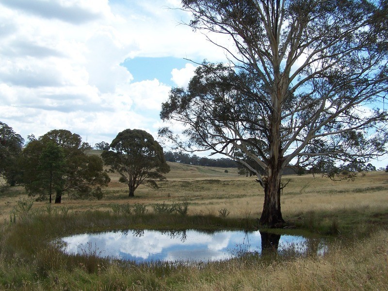 509 Redground Heights  Road, Laggan NSW 2583