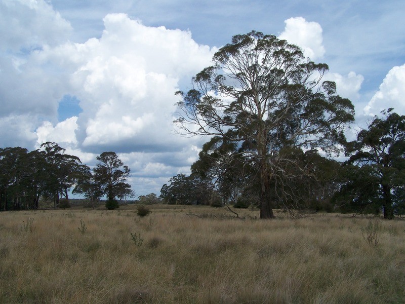 509 Redground Heights  Road, Laggan NSW 2583