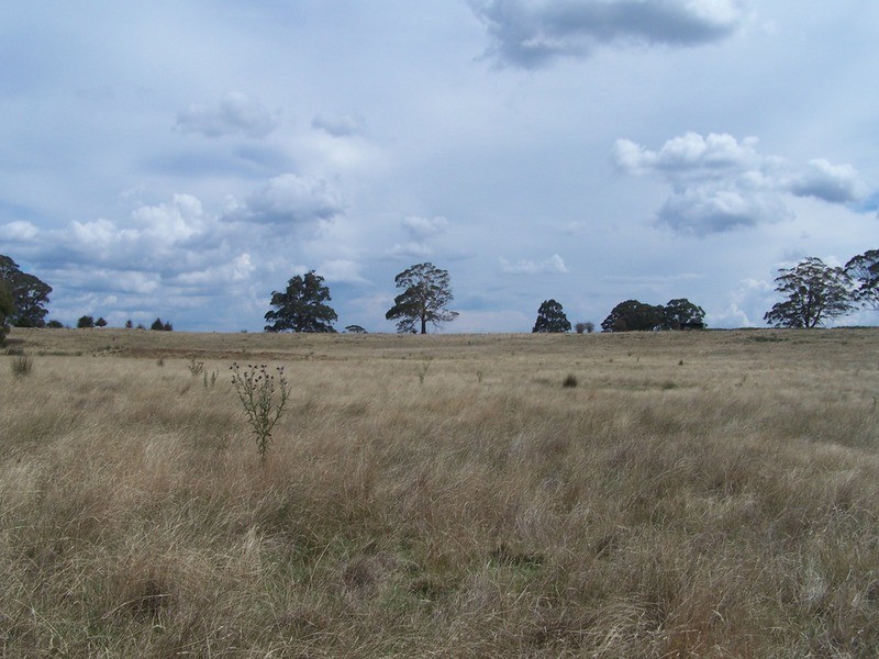 509 Redground Heights  Road, Laggan NSW 2583