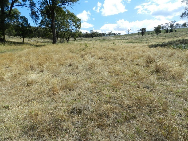 Lot 1 Off Peelwood Road, Laggan NSW 2583
