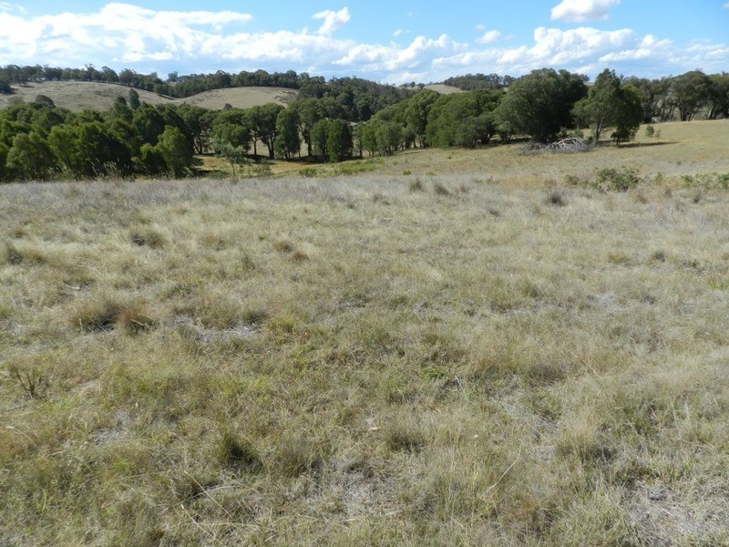 Lot 1 Off Peelwood Road, Laggan NSW 2583