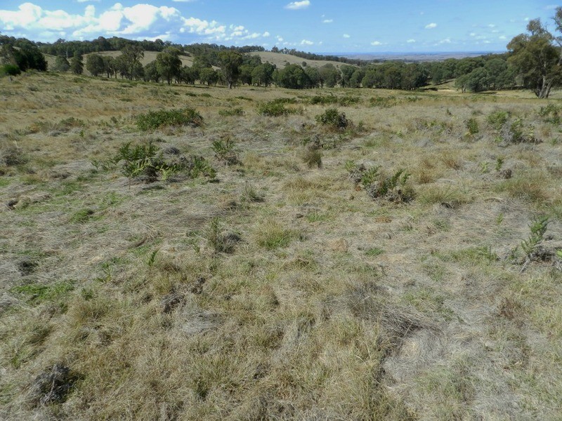 Lot 1 Off Peelwood Road, Laggan NSW 2583