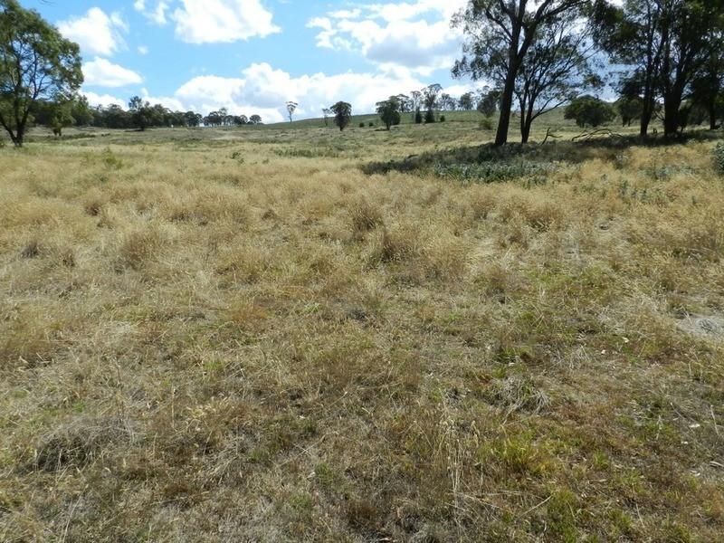 Lot 1 Off Peelwood Road, Laggan NSW 2583