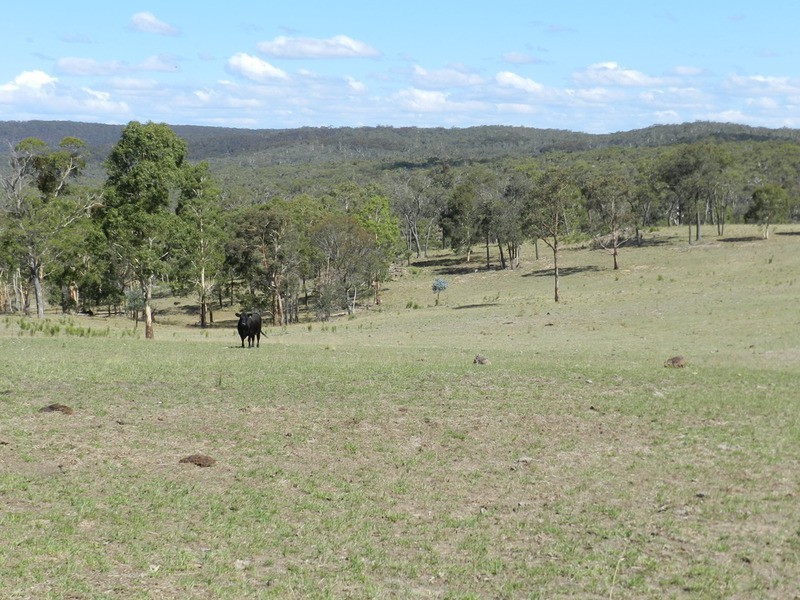 H/6506 Oberon Road, Taralga NSW 2580
