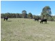 H/6506 Oberon Road, Taralga NSW 2580