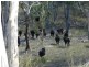 H/6506 Oberon Road, Taralga NSW 2580
