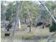 H/6506 Oberon Road, Taralga NSW 2580