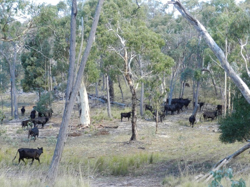 H/6506 Oberon Road, Taralga NSW 2580