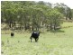 C/6506  Oberon  Road, Taralga NSW 2580