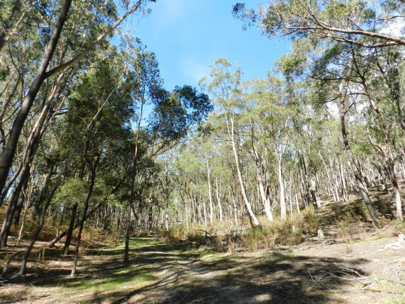 168 Long Swamp Road, Greenwich Park NSW 2580