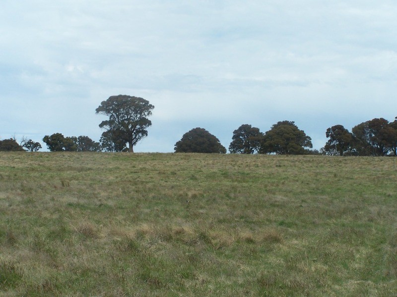 Lot 1 Taralga Road, Taralga NSW 2580