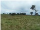 Lot 1 Taralga Road, Taralga NSW 2580