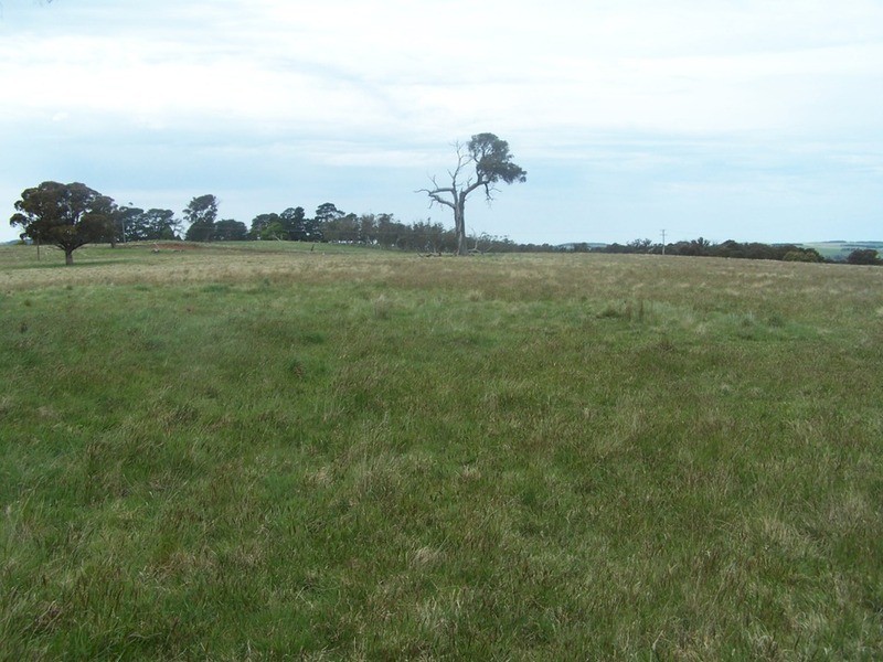 Lot 1 Taralga Road, Taralga NSW 2580