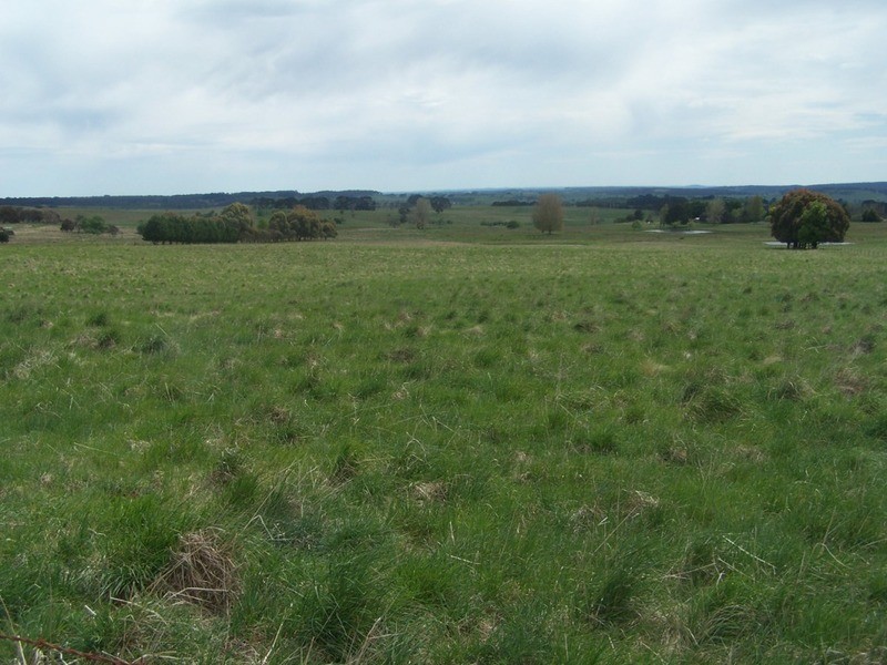 Lot 2 Taralga Road, Taralga NSW 2580