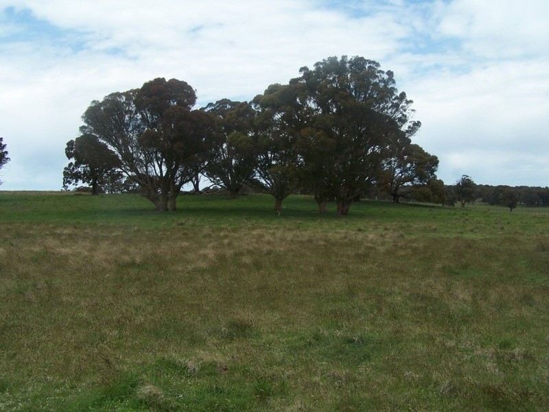 Lot 2 Taralga Road, Taralga NSW 2580