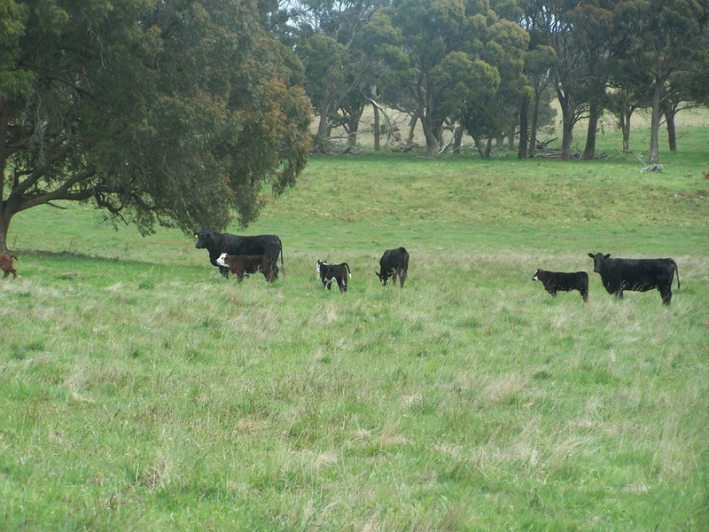 Lot 2 Taralga Road, Taralga NSW 2580
