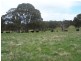 Lot 2 Taralga Road, Taralga NSW 2580