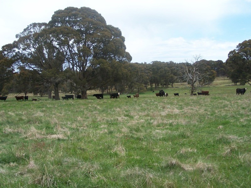 Lot 2 Taralga Road, Taralga NSW 2580