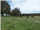 Lot 2 Taralga Road, Taralga NSW 2580